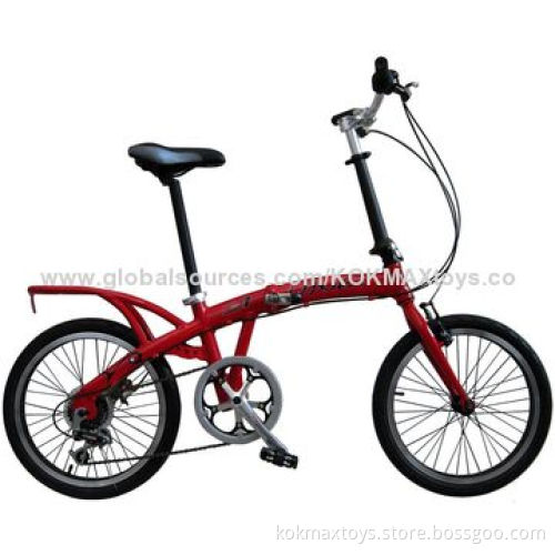 Folding Bike